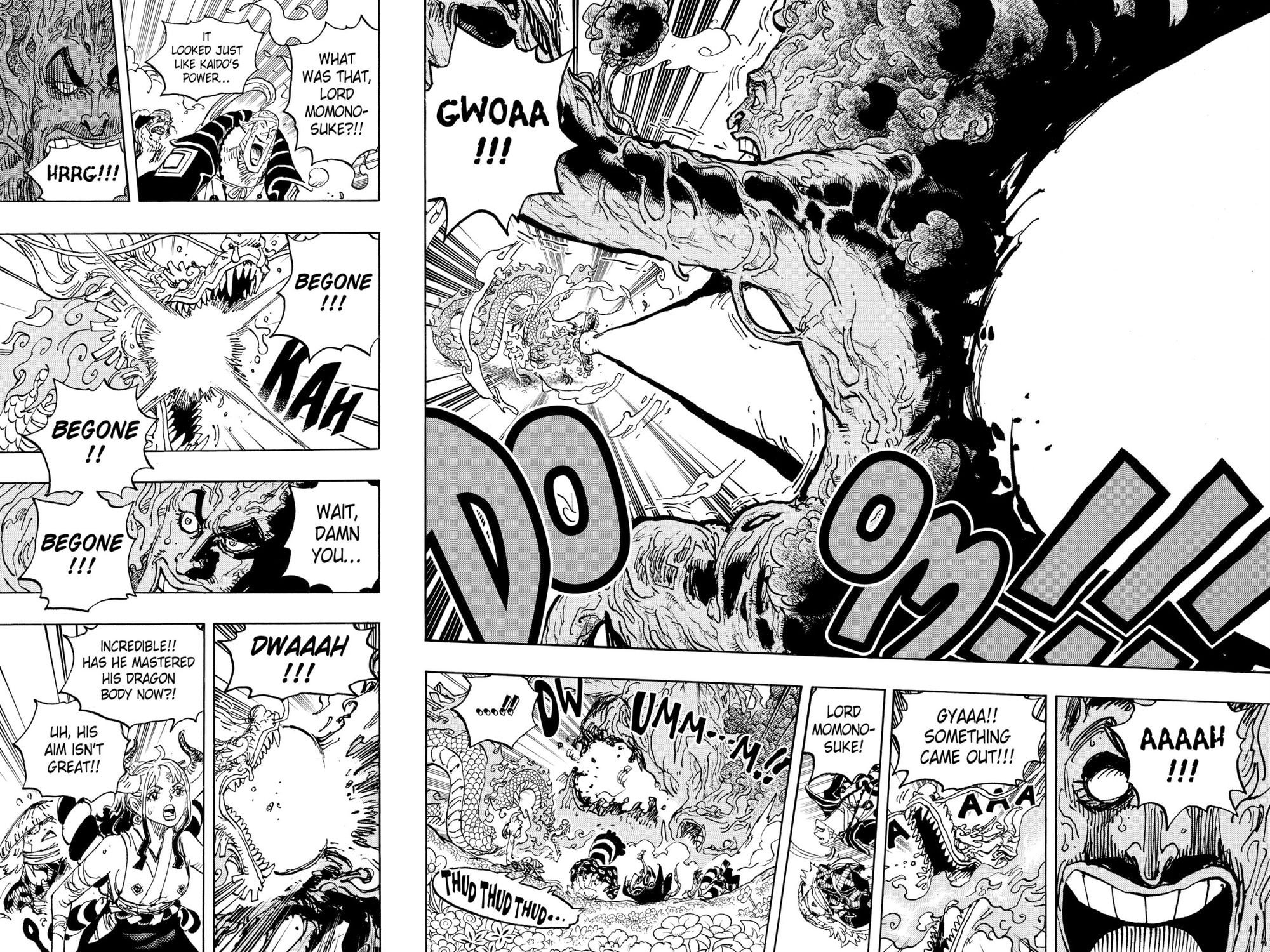 One Piece, Chapter 1055 image 13